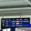 햄스터 라운지 | 겨울에 갔던 삿포로가 너무 좋아서 엄마를 납치했습니다