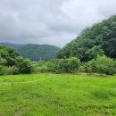 숲속의집펜션민박 이미지