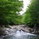 덕동자동차야영장 이미지