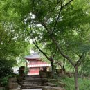 역사공원 | 상하이 루쉰공원 윤봉길 의거 기념관 방문 후기 홍커우공원 역사 여행