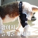 은해반려동물보조기 이미지