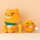 티업비젼 유성홈플러스점 이미지