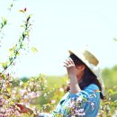 고운목장 이미지