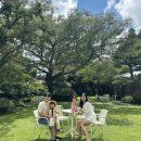 미숙농장 | 제주 말로 카페 아기랑 방문 후기, 애견동반 및 주차 정보❤️