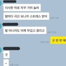 재영축산 | 꿈이많은23살 +잠도 많은…