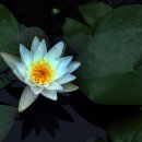 자연누리 이미지