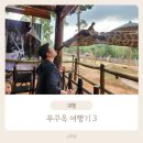푸꾸옥 여행기 3-빈원더스 사파리(기린 먹이주기, 코끼리 먹이주기,원숭이 먹이주기)