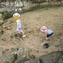 썬오브캠핑장 | 포천캠핑장 썬오브캠핑장 신샹 뷰 맛집