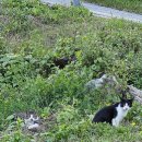 거두촌두부 이미지