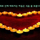 돌싱커피호프
