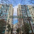 압구정-114 이미지