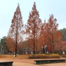 월영연못공원 이미지