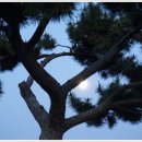 낱낱이 봄;내_일적 이미지