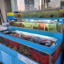 여주-0476 이미지