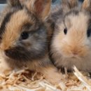 리치파크B동 이미지