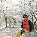 단혜 이미지