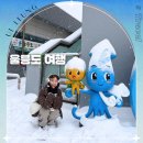 신년해맞이(취소) | 2박3일 울릉도 여행 경비 포항 울릉크루즈 배편 할인 여행사