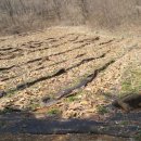 유태네 농장 이미지