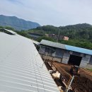 동신2호 태양광발전소 이미지