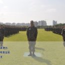 송백로-3 이미지