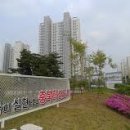 진천군치매안심센터 | 진천군 복지정책 완전정복 – 2025년 실생활 혜택과 신청 방법까지