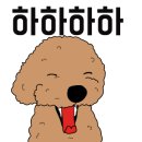 도그매니저 이미지