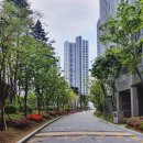 더 스카이 세차장 이미지