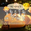 일월 | 일월수목원 야간개장 수원 밤 산책 후기 주차 예매