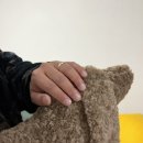 포인트독 | 아이들에게 선물이나 집들이 선물로 인테리어 포인트 딱좋은 나나파인트 독 쿠션 실제 사용후기