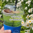 커피사피엔스성수현대