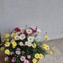 가정중앙시장역 앞 | 가정중앙시장역 카페, 샬로우커피