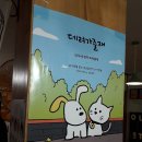 지구별고양이