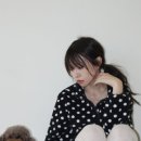 널독(NERDOG) 이미지