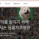 힐링힐스 동물 치과병원 이미지