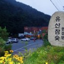 [즐기기] 경상남도 마산시 유산참숯찜질방. 이미지