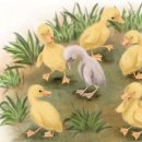 미운오리새끼 이미지