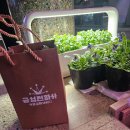 서울전파사 이미지