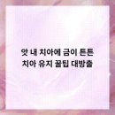 전치과의원 이미지