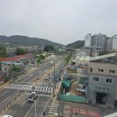 서리골천 티스토리