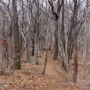 명사해수욕장 주차장 이미지