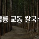 강릉칼국수 이미지