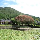 동백산방 이미지