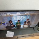 강서구-49 이미지