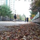 스마트폰 사진찍기 이미지