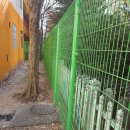 버드내초교 이미지