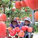 학림농장 이미지