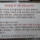 지구별고양이