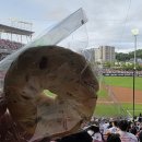 명진2차아파트 | 25시즌 직관(4) 250517 더블헤더 2차전 두산 VS 기아 (챔피언스필드)