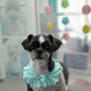 그 남자의 grooming # 공간 이미지