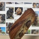 Honey eat (허니잇) | 평촌롯데백화점맛집 베이글리스트 x 라쿠르뜨 안양빵집 솔직 후기